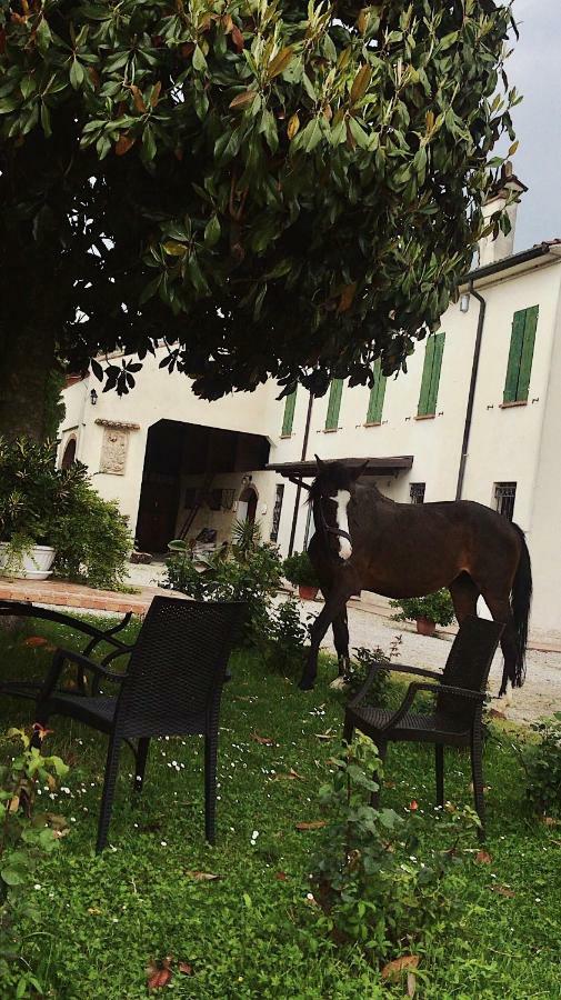 Agriturismo Loghino Caselle San Giorgio di Mantova Exterior photo